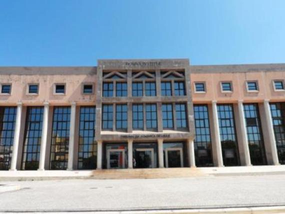 nucleo de loule - web